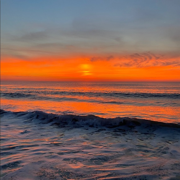 Meet your Posher, Lucy - Picture 1 of 1